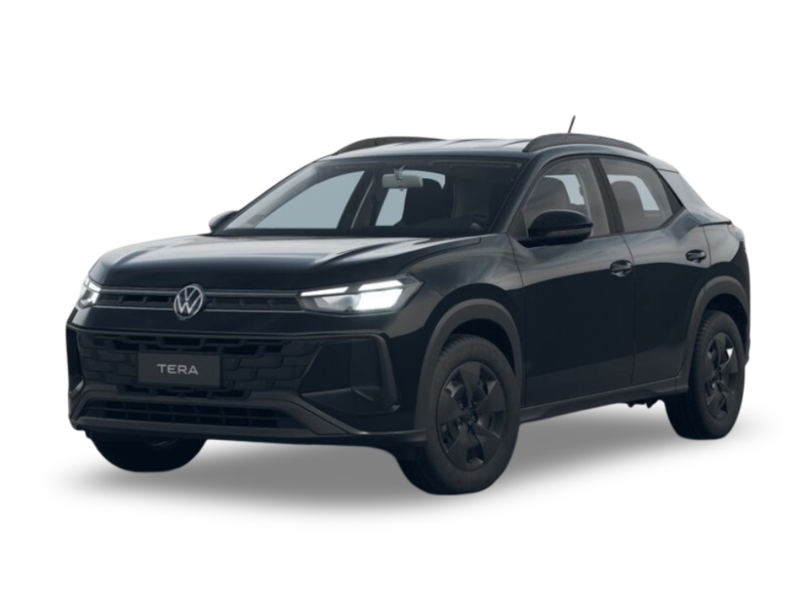 Volkswagen Tera