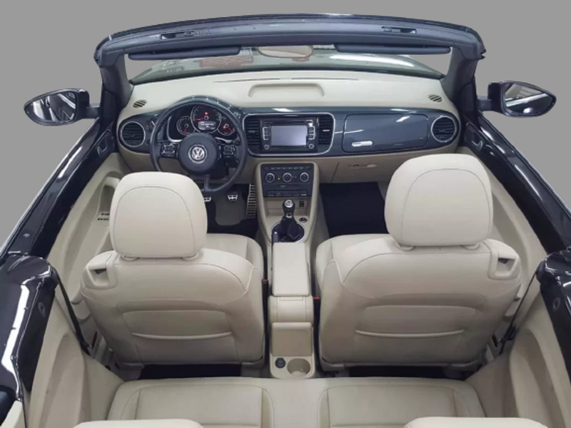Volkswagen The Beetle