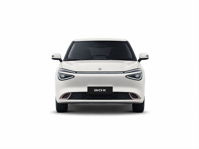 Dongfeng Box