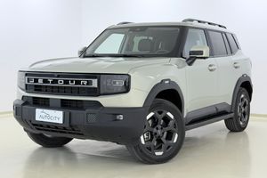 2.0 Tgdi 4wd At