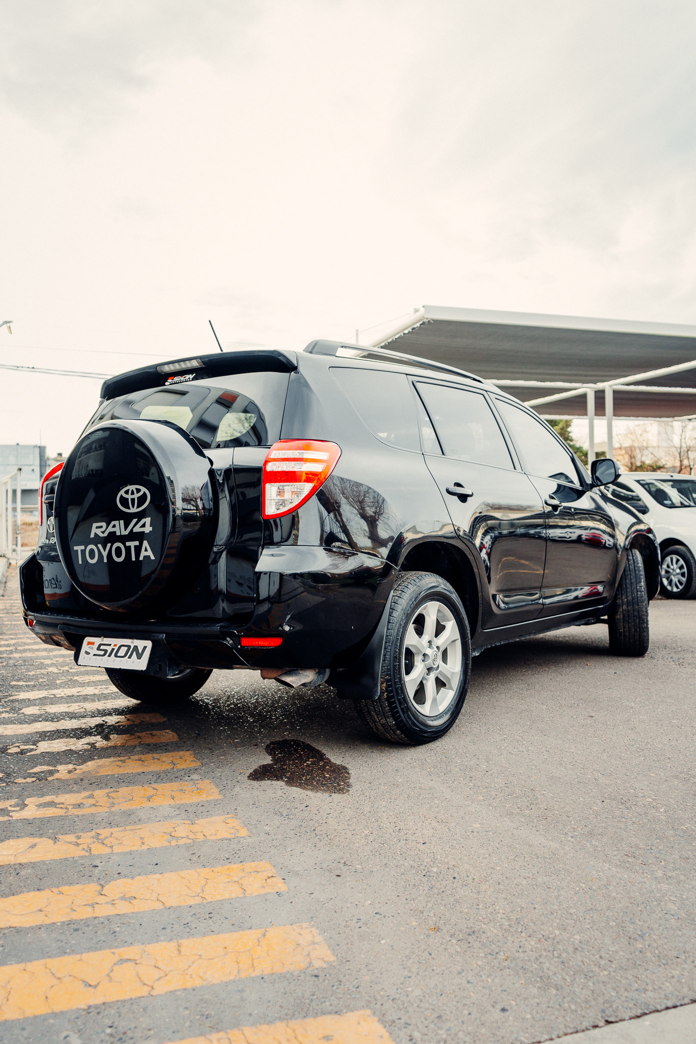 RAV 2010 3