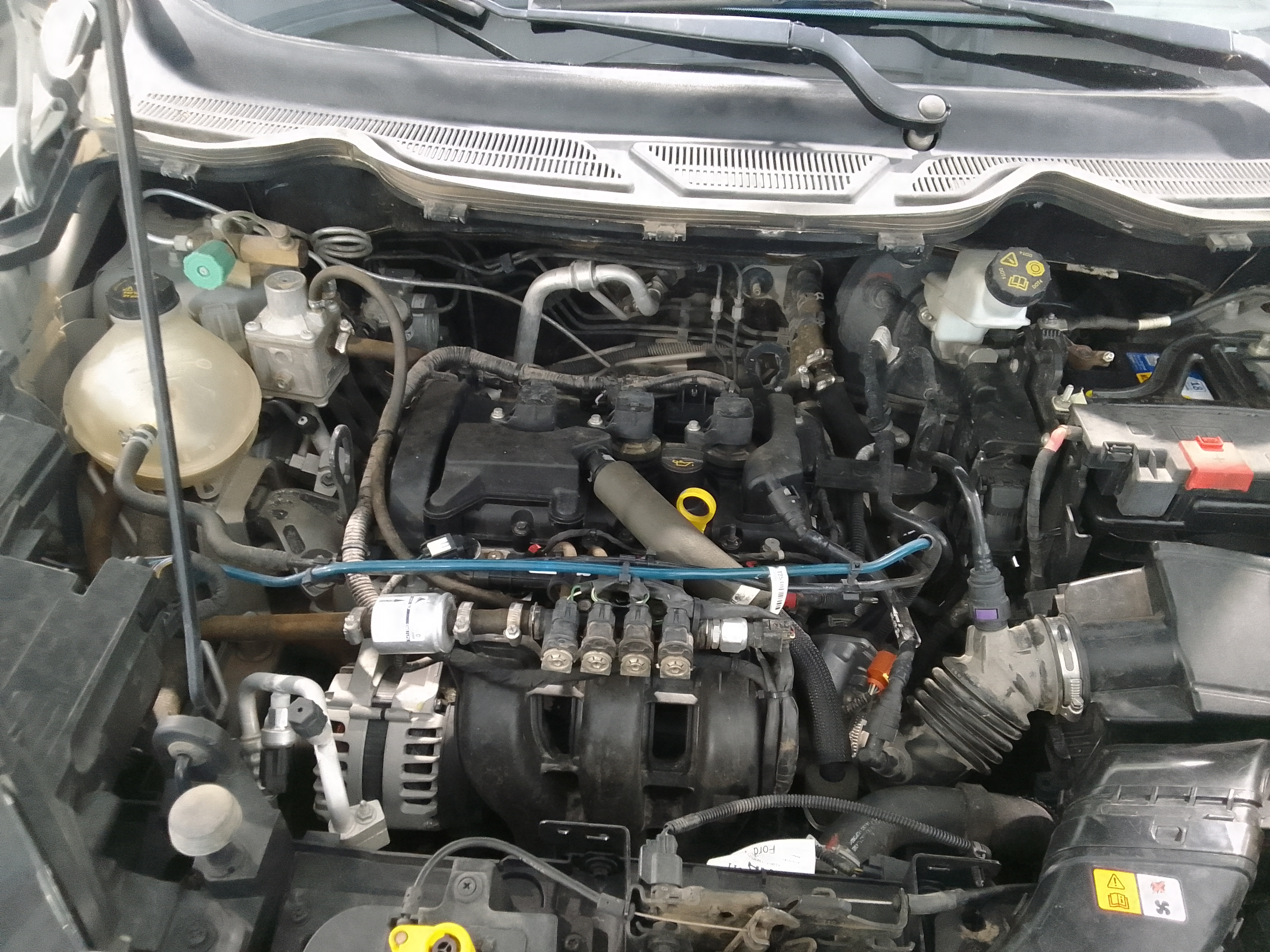 Ford ECO Sport miniatura 6