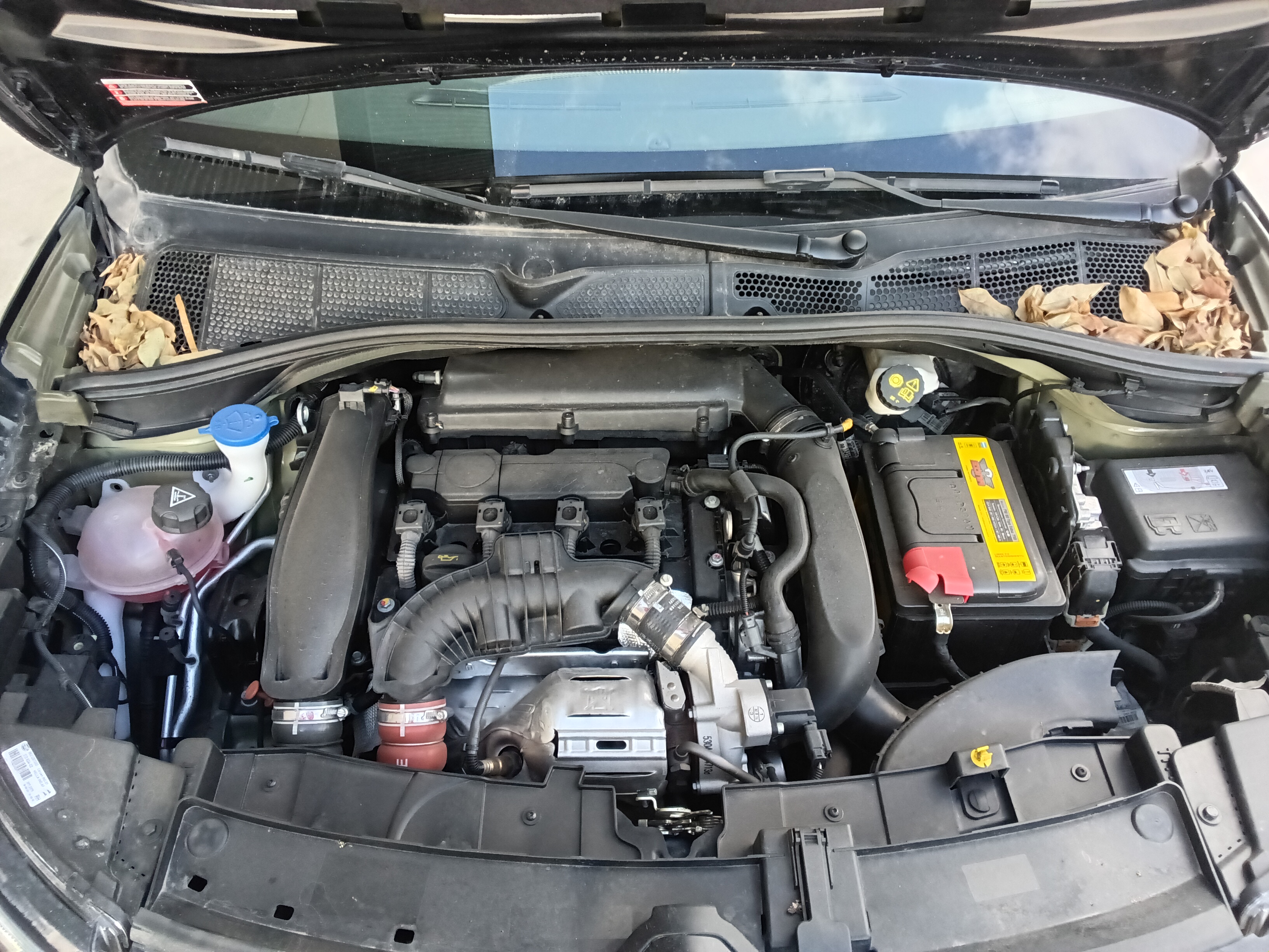 Citroen C4 Cactus miniatura 9